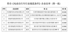 电动汽车排名前十名电动车排名前十