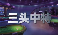 2024年香港+六+合+资料总站V？汽车维修