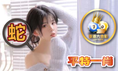 汽车维修查询官网新澳彩查询V